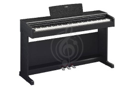 Изображение Yamaha YDP-144B - цифровое пианино, цвет чёрный