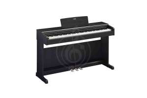 Изображение Yamaha YDP-145B