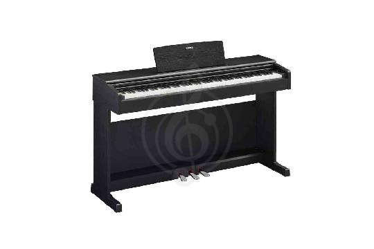 Изображение Yamaha YDP-145B