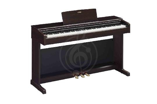 Изображение Yamaha YDP-145R