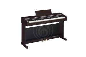 Изображение Цифровое пианино  Yamaha YDP-145R