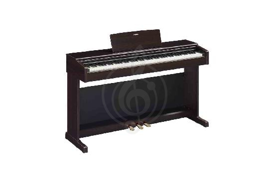 Изображение Цифровое пианино YAMAHA YDP-145R