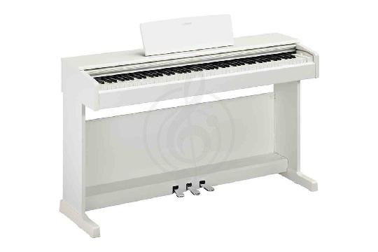 Изображение Yamaha YDP-145WH