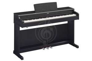 Изображение Yamaha YDP-164 B