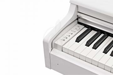 Цифровое пианино Цифровые пианино Yamaha Yamaha YDP-164WH - Цифровое пианино YDP-164WH - фото 2