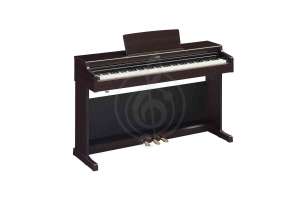 Изображение YDP-165R