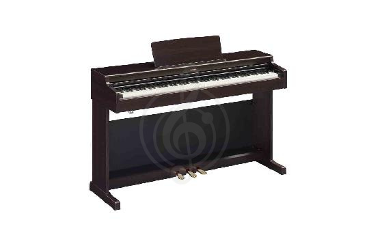 Изображение Цифровое пианино  Yamaha YDP-165R