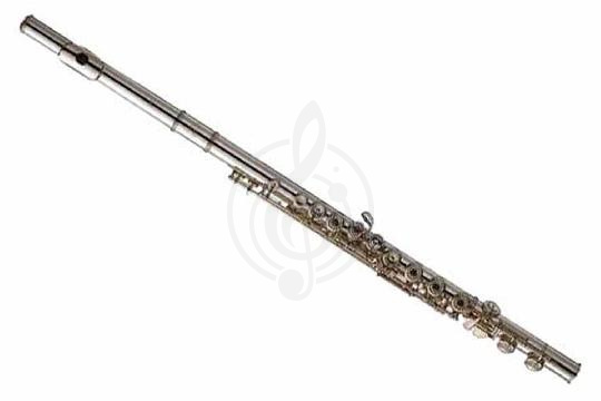 Флейта сопрано Флейты сопрано Yamaha YAMAHA YFL 471(II) Флейта ми-механика, с резонаторами, не в линию YFL 471(II) - фото 1