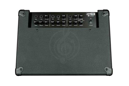 Комбо для клавишных Yerasov KEYamp-R2 - Комбоусилитель с микшером, Yerasov KEYamp-R2 в магазине Доминанта мьюзик - фото 2