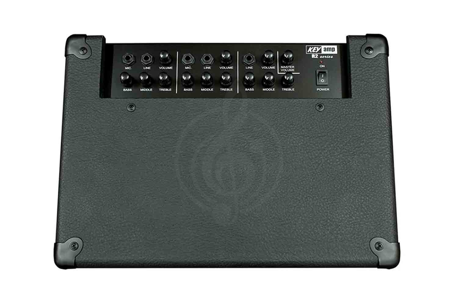 Комбо для клавишных Yerasov KEYamp-R2 - Комбоусилитель с микшером, Yerasov KEYamp-R2 в магазине Доминанта мьюзик - фото 2