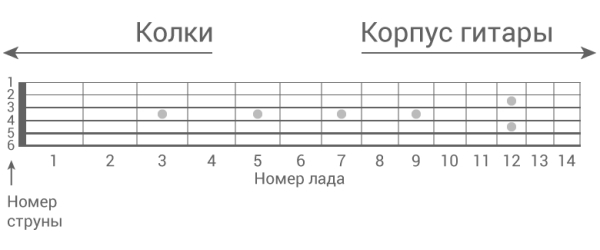 Схема грифа гитары