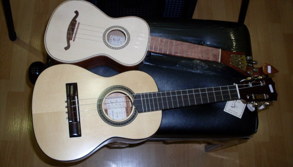 Укулеле и гавайская гитара в чем разница
