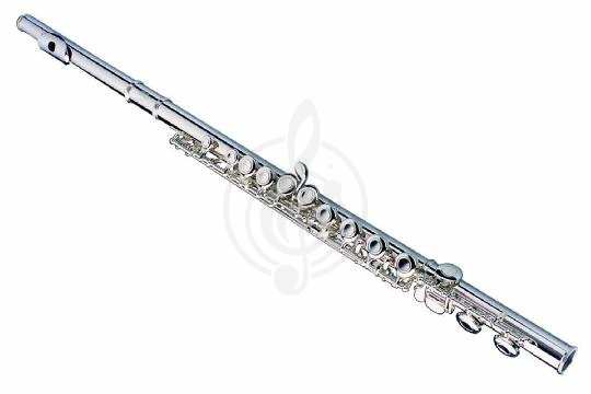 Флейта сопрано Флейты сопрано Brahner BRAHNER F-300S - Флейта С F-300S - фото 1