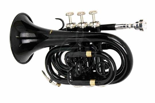 Труба Conductor FLT-PT-BK - Труба, Conductor FLT-PT-BK в магазине DominantaMusic - фото 1