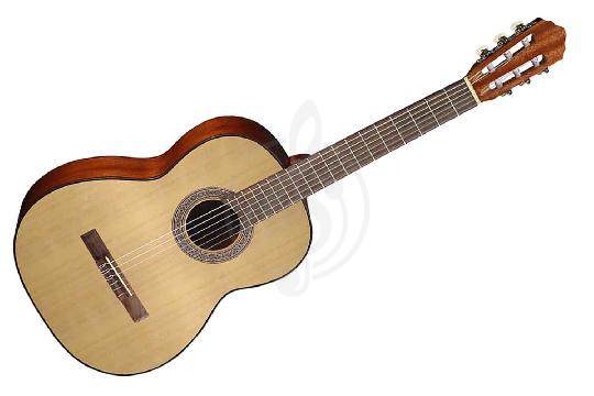 Классическая гитара 4/4 Классические гитары 4/4 Cort Cort AC100-SG - Классическая гитара 4/4 AC100-SG - фото 1
