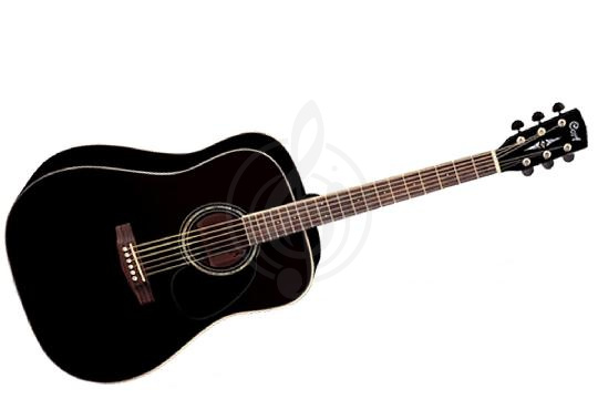 Акустическая гитара Cort EARTH100-BK Earth Series - Акустическая гитара, Cort EARTH100-BK в магазине DominantaMusic - фото 1
