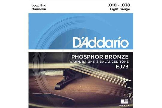 Струны для мандолины D'Addario EJ73 - Комплект струн для мандолины, D'Addario EJ73EJ73 в магазине DominantaMusic - фото 1