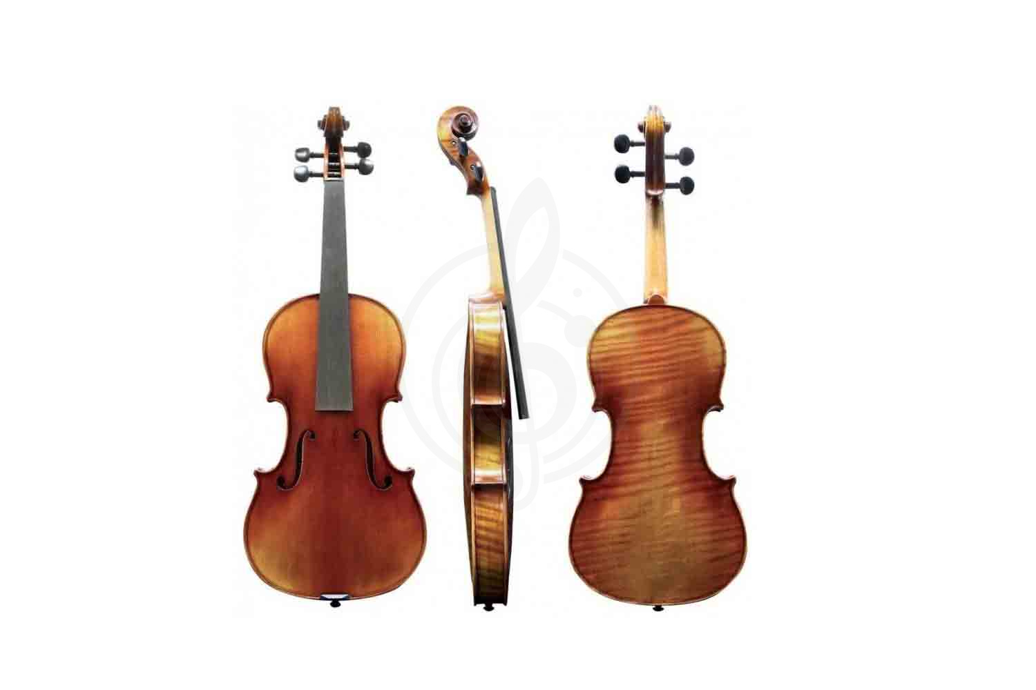 Скрипка 4/4 GEWA Maestro 51 - Cкрипка 4/4, GEWA Maestro 51 в магазине DominantaMusic - фото 2