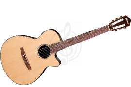 Электроакустическая гитара Электроакустические гитары Ibanez IBANEZ AEG50N-NT - Электроакустическая гитара AEG50N-NT - фото 1