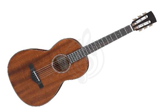 Акустическая гитара Акустические гитары Ibanez IBANEZ ArtWood AVN9-OPN - Акустическая гитара AVN9-OPN - фото 1