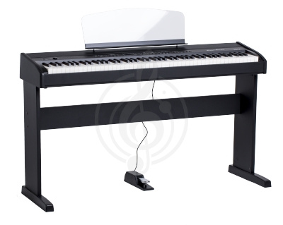 Изображение Orla 438PIA0703 Stage Studio Цифровое пианино, черное, со стойкой