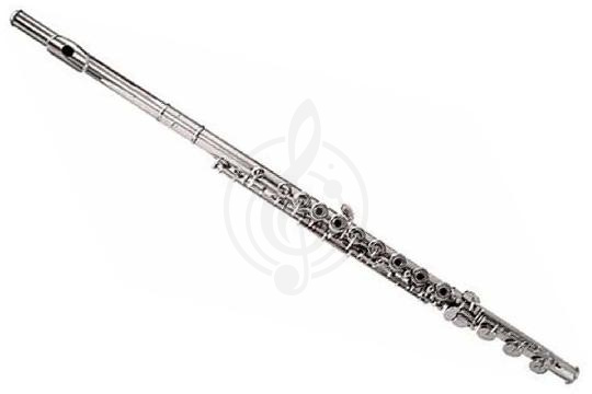 Флейта сопрано Pearl Quantz PF-F525RB - Флейта сопрано, Pearl PF-F525RB в магазине DominantaMusic - фото 1
