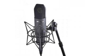 Микрофоны для стрима PEAVEY Studio Pro M1 - Конденсаторный студийный микрофон, Peavey Studio Pro M1 в магазине DominantaMusic - фото 3