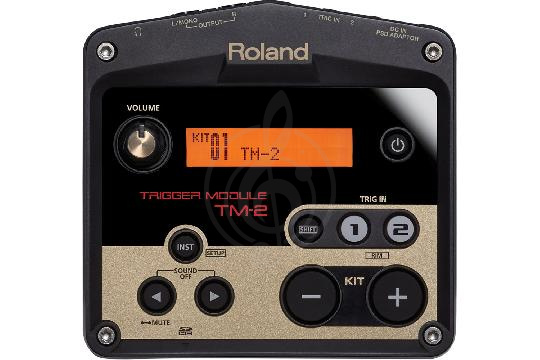 Электронная ударная установка Электронные ударные установки Roland Roland TM-2 триггер-модуль TM-2 - фото 1