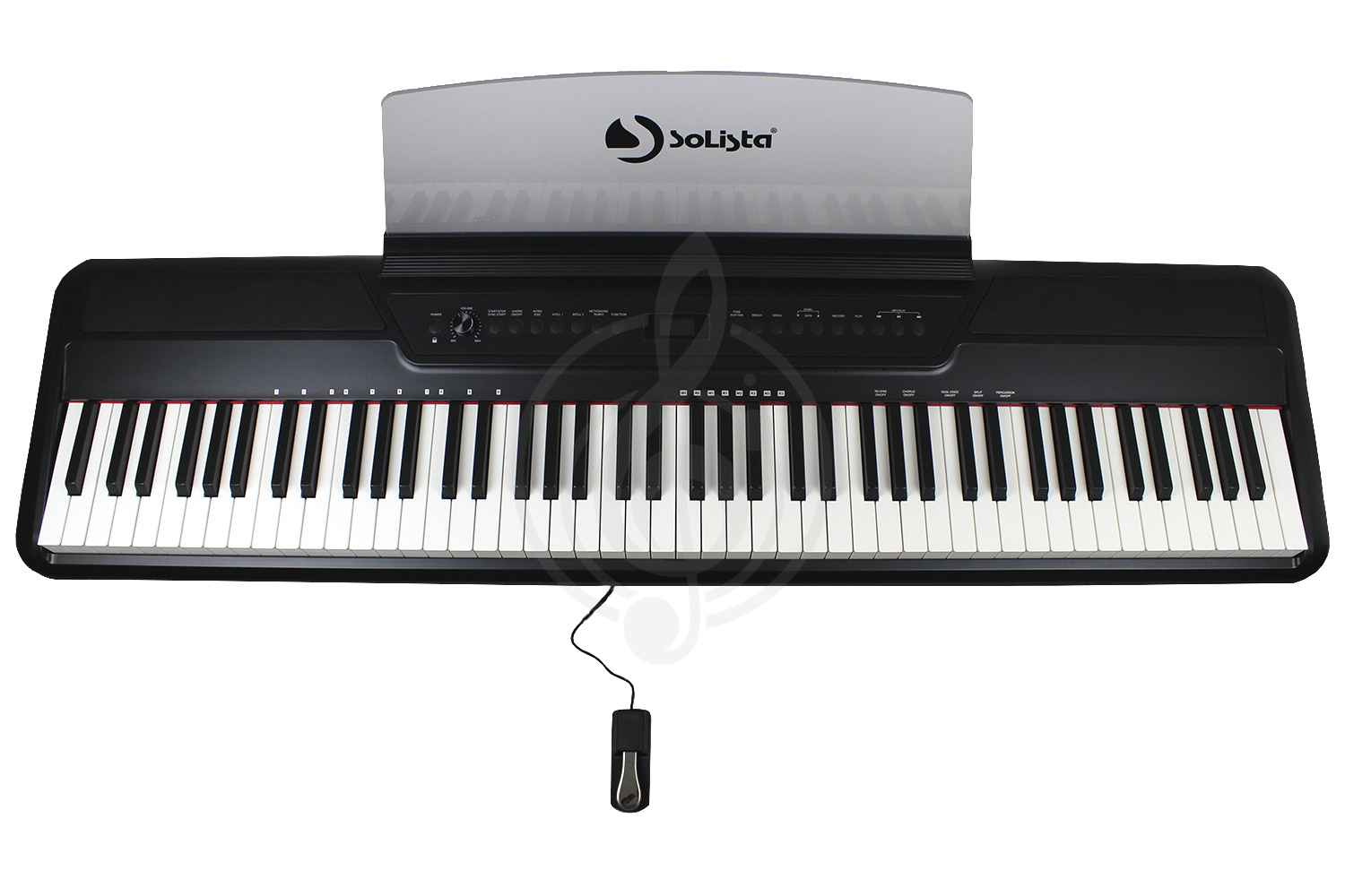Цифровое пианино SOLISTA P115BK - Цифровое пианино. Черный, Solista P115BK в магазине DominantaMusic - фото 1