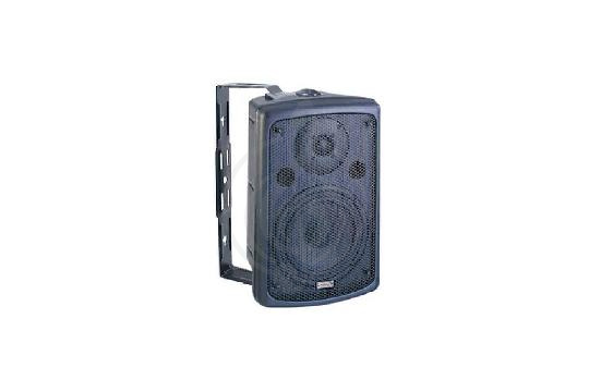 Пассивная акустическая система Пассивные акустические системы Soundking Soundking FP208-1 - Пассивная акустическая система, 100Вт FP208-1 - фото 1