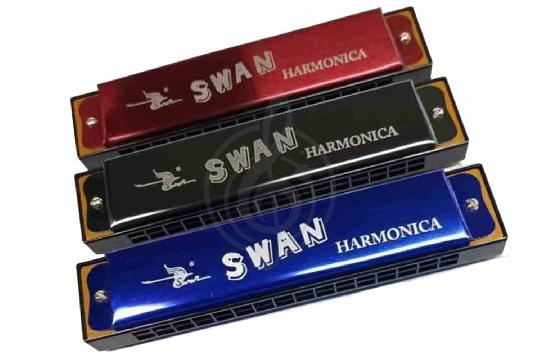 Диатоническая губная гармошка Swan SW16-1 - Губная гармошка тремоло, Swan SW16-1 в магазине DominantaMusic - фото 1