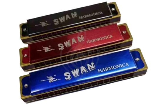 Диатоническая губная гармошка Swan SW16-2 - Губная гармошка тремоло, Swan SW16-2 в магазине DominantaMusic - фото 1