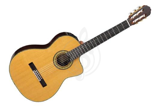 Электроакустическая гитара Классические гитары 4/4 TAKAMINE TAKAMINE TH5C - Электроакустическая классическая гитара TH5C - фото 1