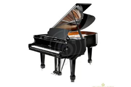Акустический рояль Акустические рояли W. Hoffmann W. Hoffmann Professional P 188 - Рояль, цвет черный, полированный P 188 BLP - фото 1