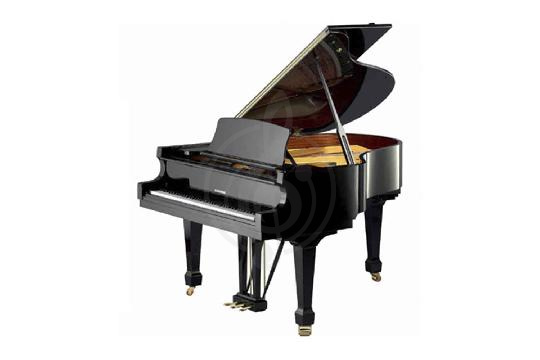 Акустический рояль W. Hoffmann Tradition T 161 BLP - Рояль акустический черный, полированный, W. Hoffmann T 161 BLP в магазине DominantaMusic - фото 1