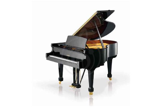 Акустический рояль W. Hoffmann Tradition T 177 BLP VARIO - Рояль акустический, цвет черный, полированный, W. Hoffmann T 177 BLP VARIO в магазине DominantaMusic - фото 1