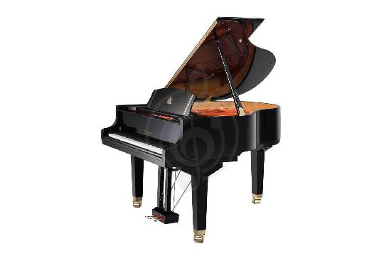 Акустический рояль Wendl&Lung W162BK - Рояль акустический, черный, Wendl&Lung W162BK в магазине DominantaMusic - фото 1