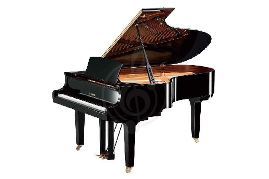 Акустический рояль Yamaha C5X PE - Рояль акустический, цвет черный, Yamaha C5 PE//X.LZ.WITH BENCH в магазине DominantaMusic - фото 1