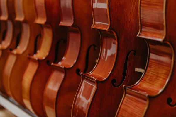 Как выбрать хорошую скрипку