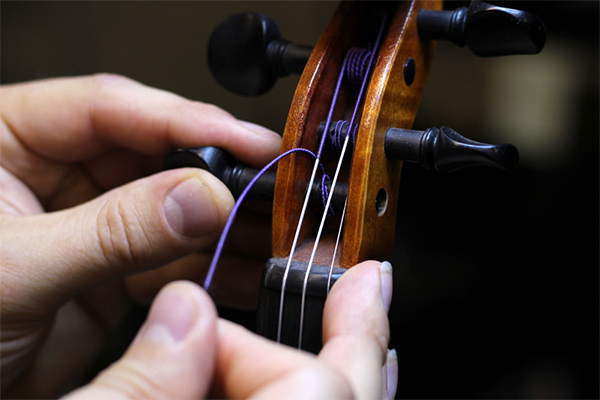 Как выбрать струны для скрипки